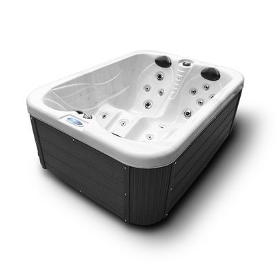 Banheira exterior do sistema Europa Mini Massage Hot Tub Spa do balboa dos EUA