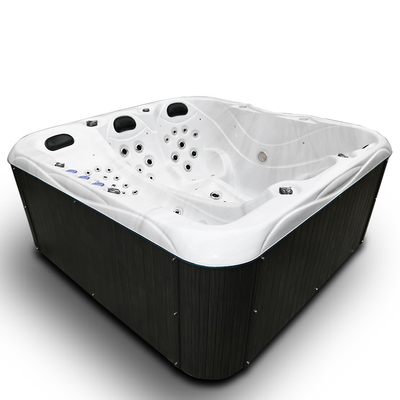 Grande sala de estar traseira alta exclusiva Seat de Hot Tub With 2 do desenhista