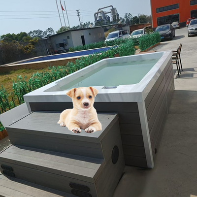 Piscina acrílica para cães para brincar com água